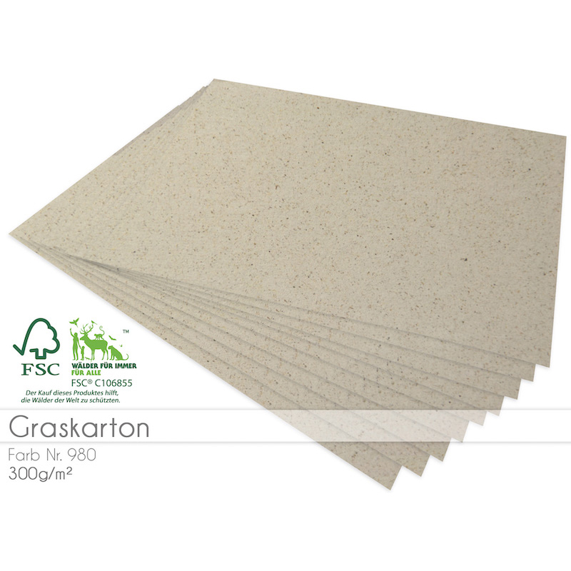 Cardstock Graskarton 300g/m² 5er