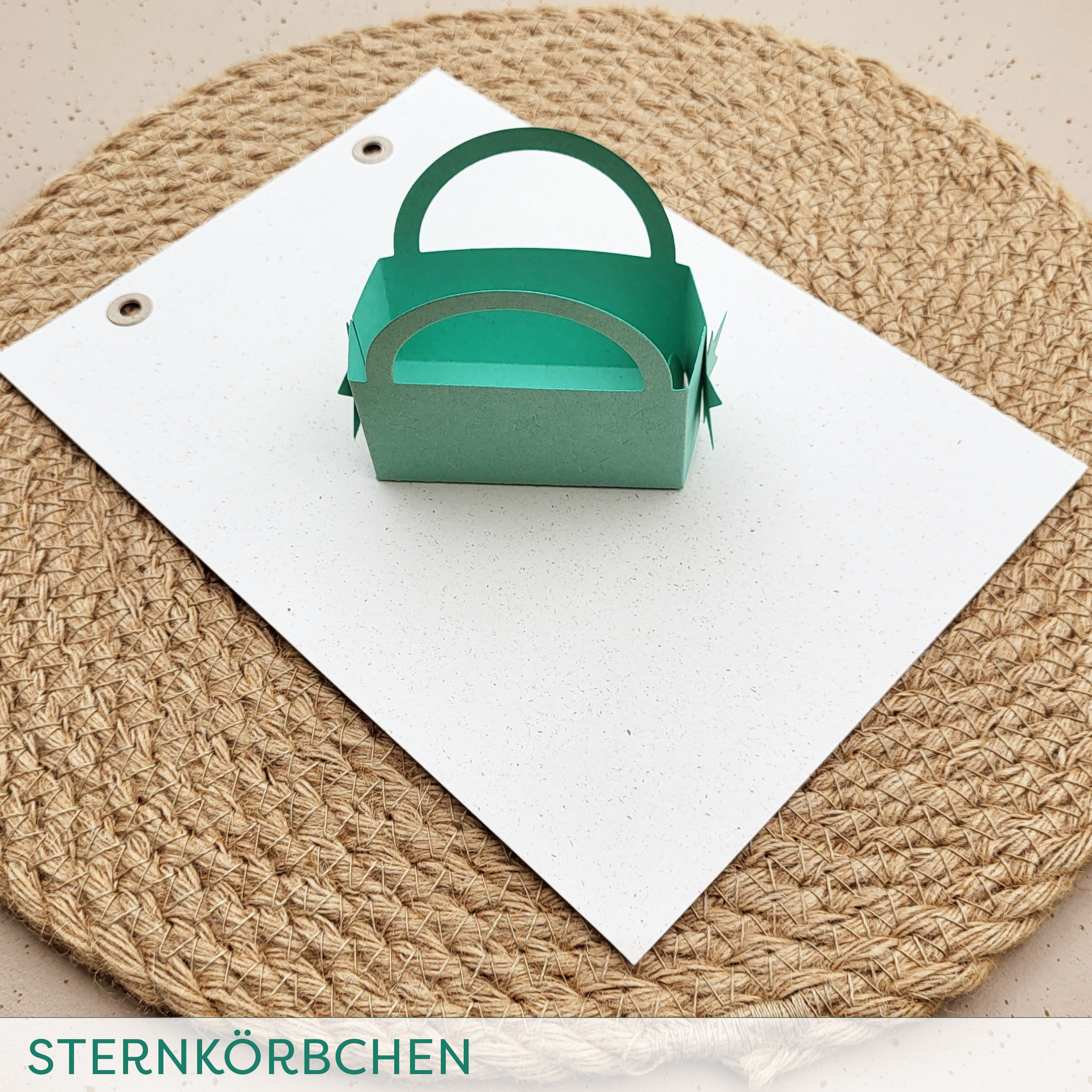 Stanze C Sternkörbchen