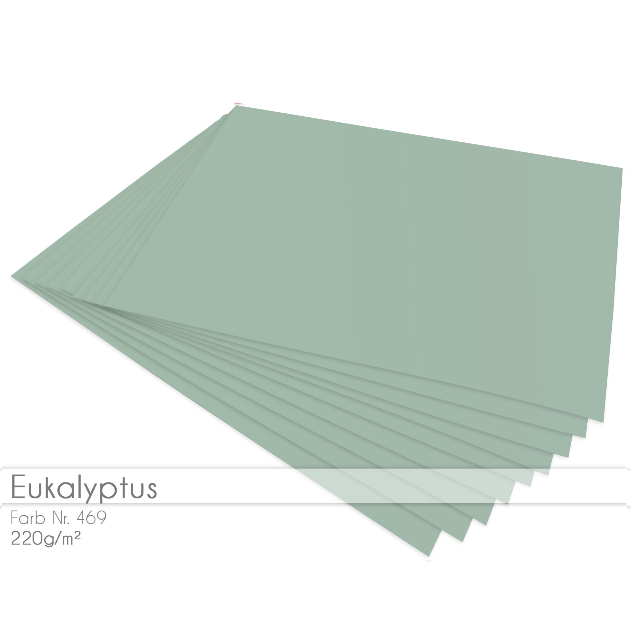 Cardstock Eukalyptus 5er