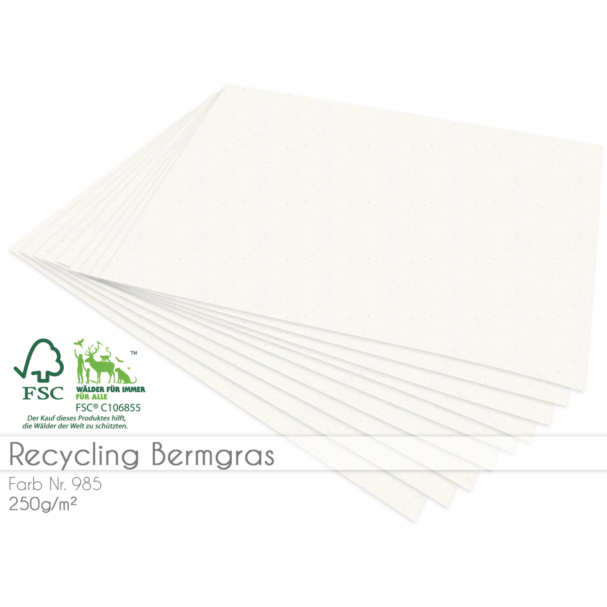 Cardstock Bermgras 25er