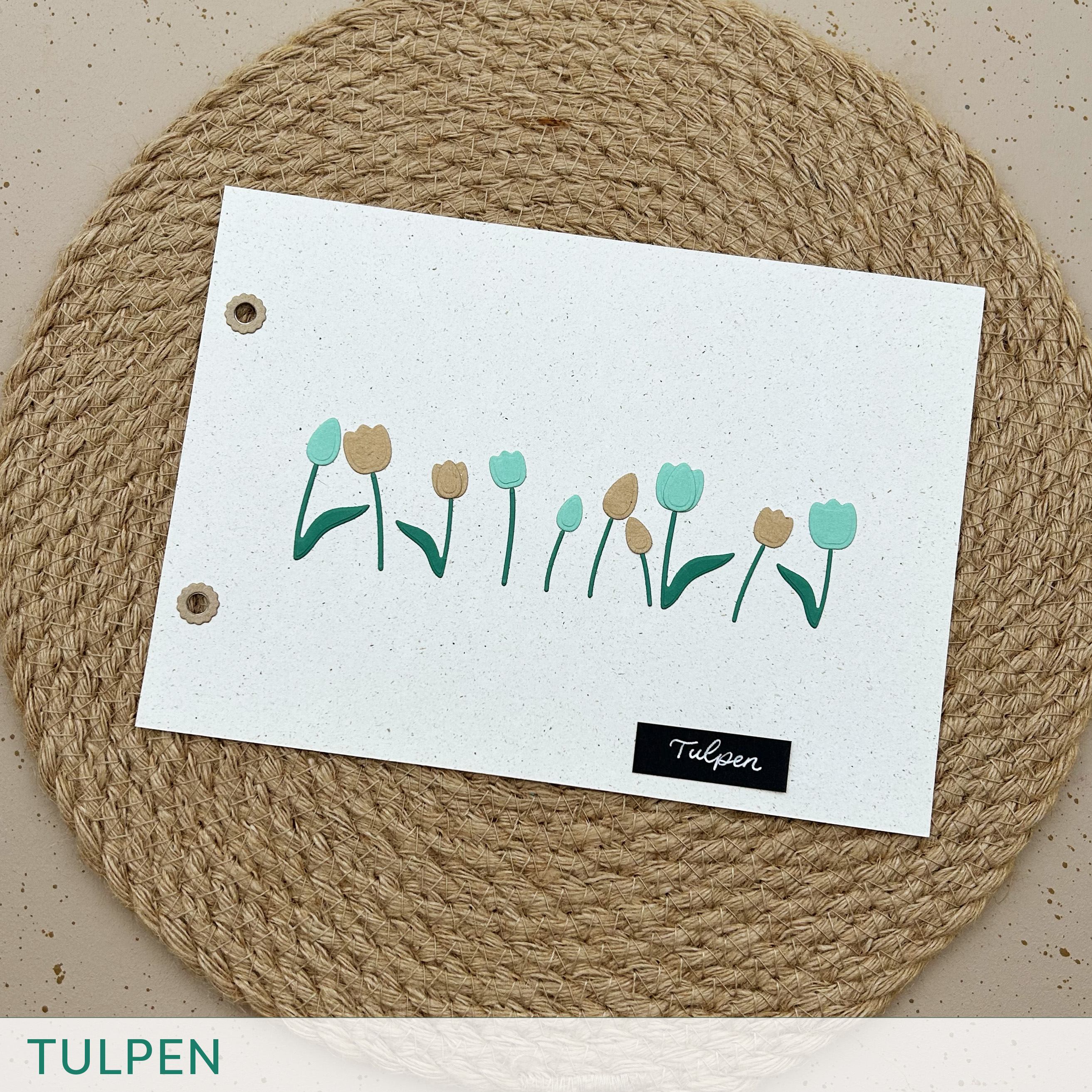 Stanze A Tulpen