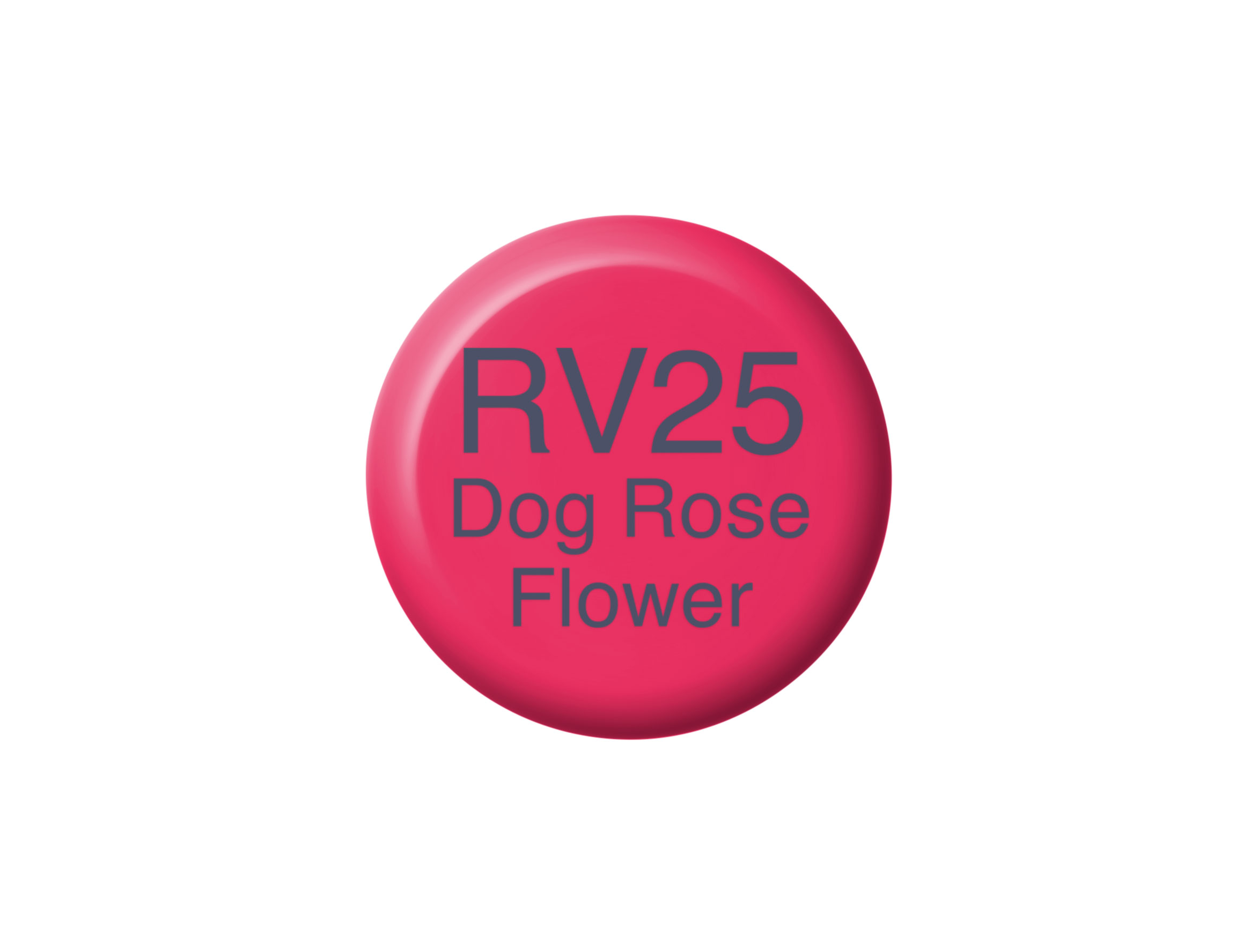 Copic Ink RV25 Dog Rose Flower